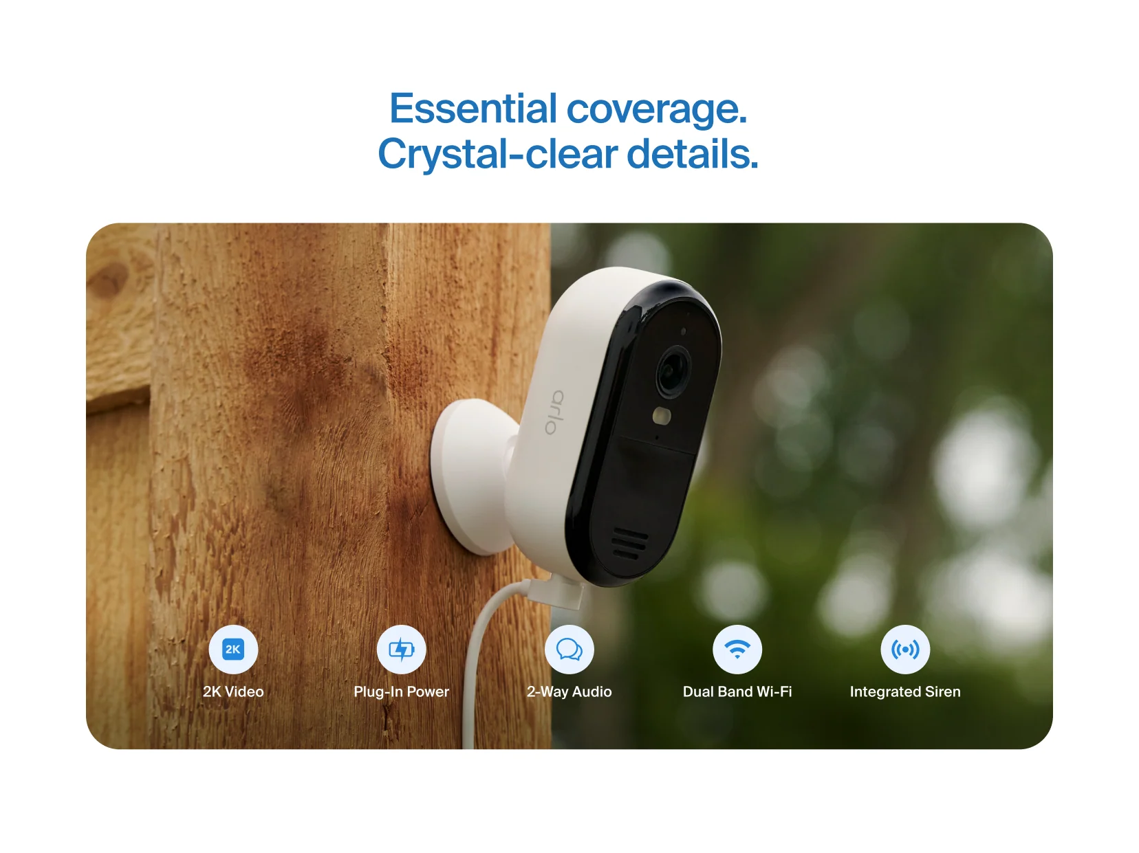 Essential (2025 Release) - Image 10